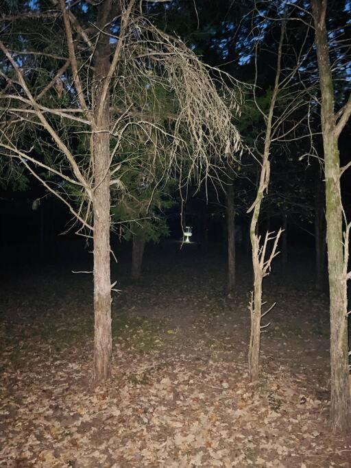 Bastrop Tiny Disc Golf Retreat Villa Екстериор снимка